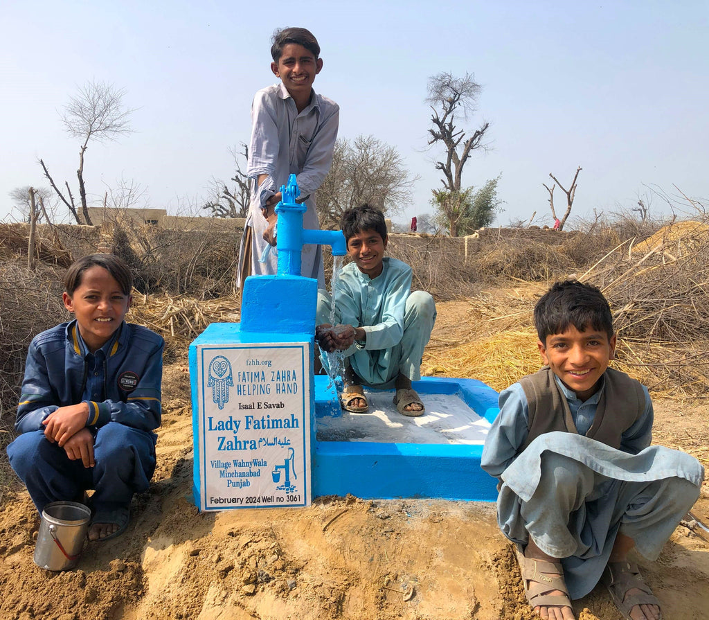 Punjab, Pakistan – Lady Fatimah Zahra ‎عليه السلام – FZHH Water Well# 3061