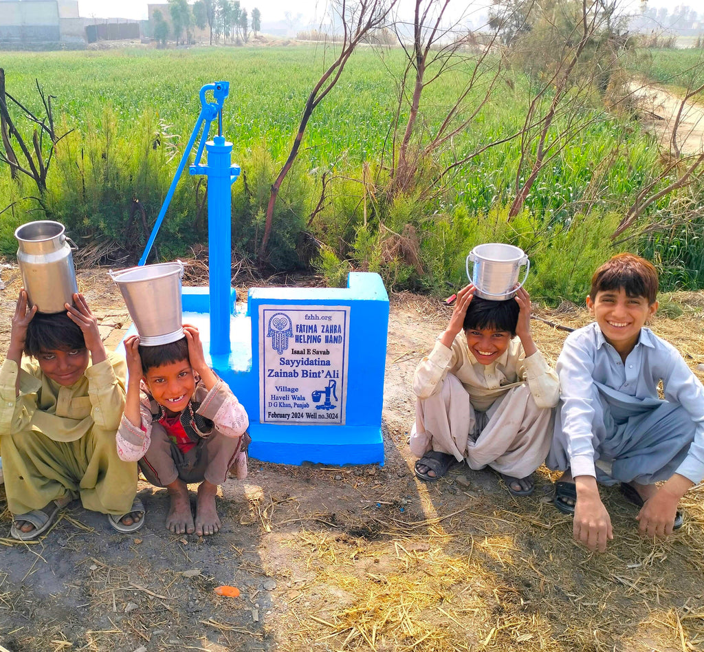 Punjab, Pakistan – Sayyidatina Zainab bint 'Ali – FZHH Water Well# 3024