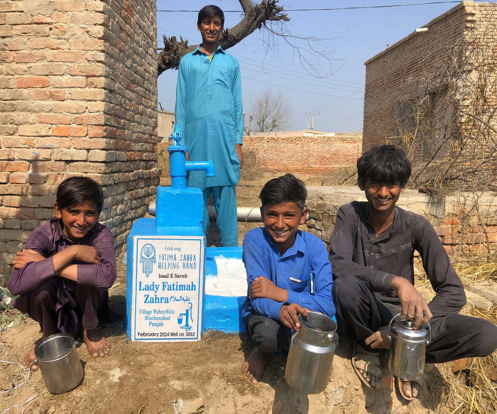 Punjab, Pakistan – Lady Fatimah Zahra ‎عليه السلام – FZHH Water Well# 3062
