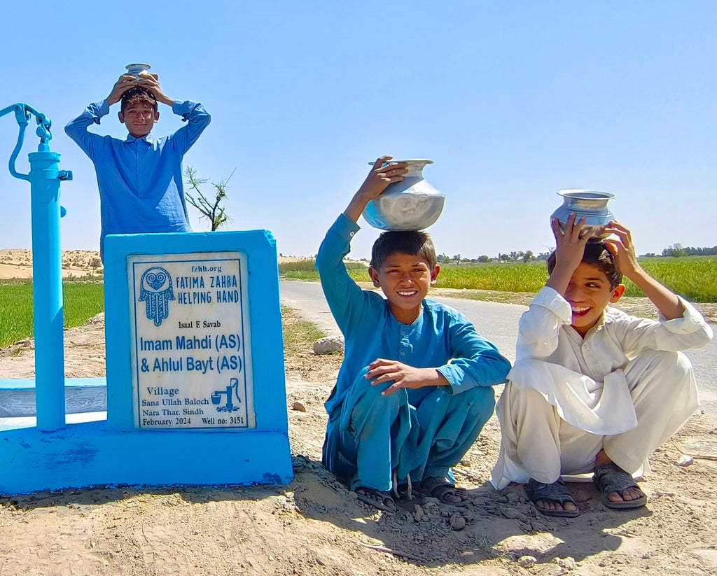 Sindh, Pakistan – Imam Mahdi (AS) & Ahlul Bayt (AS) – FZHH Water Well# 3151