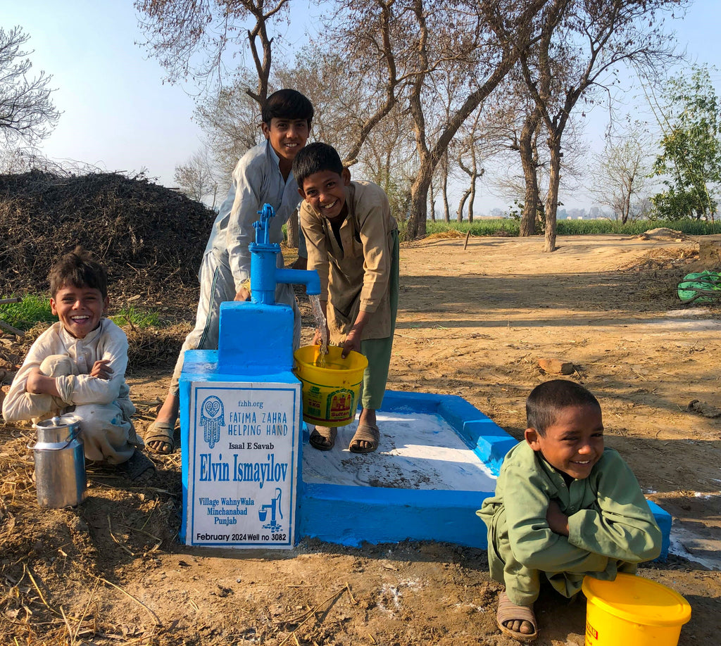 Punjab, Pakistan – Elvin Ismayilov – FZHH Water Well# 3082