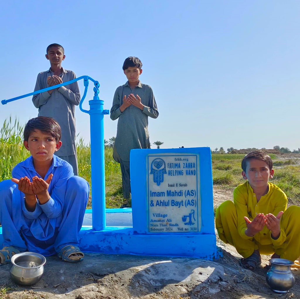 Sindh, Pakistan – Imam Mahdi (AS) & Ahlul Bayt (AS) – FZHH Water Well# 3150
