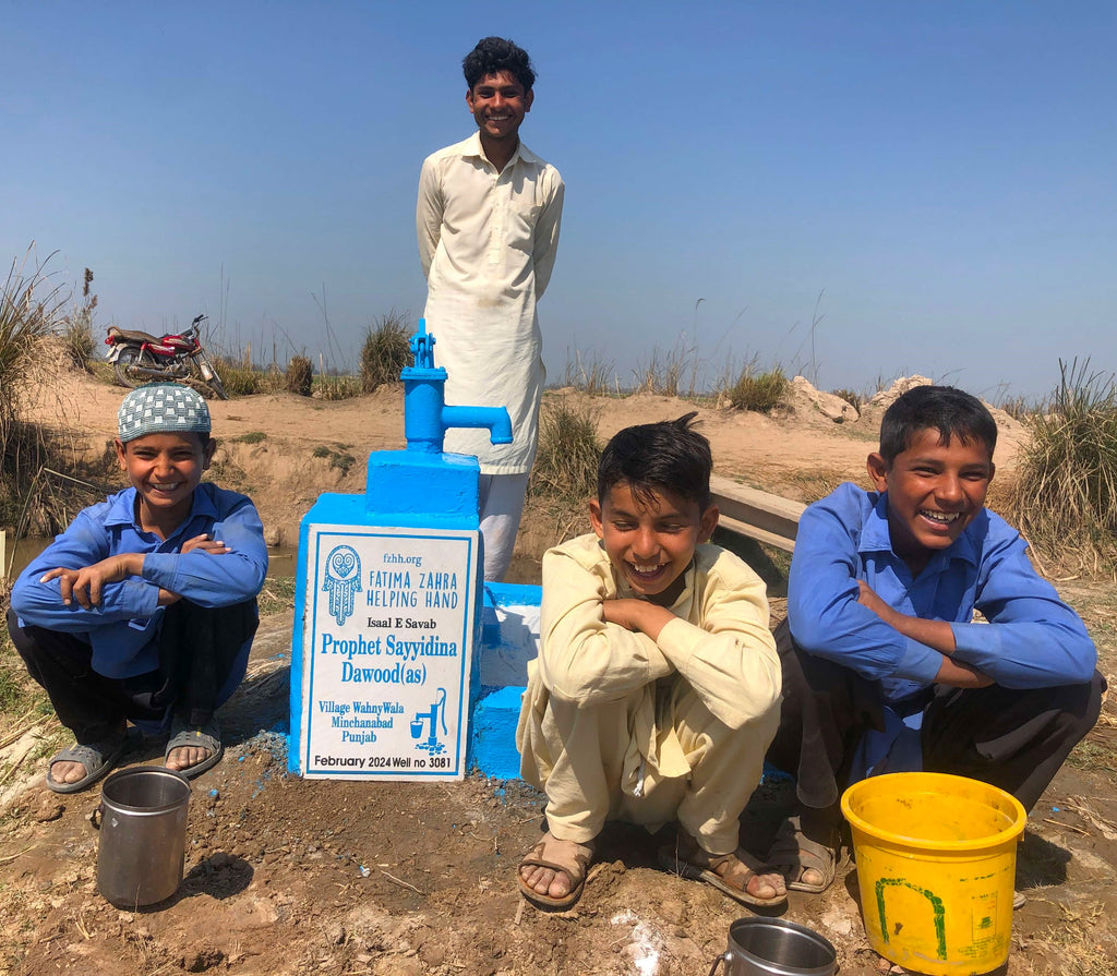 Punjab, Pakistan – Prophet Sayyidina Dawood (as)– FZHH Water Well# 3081