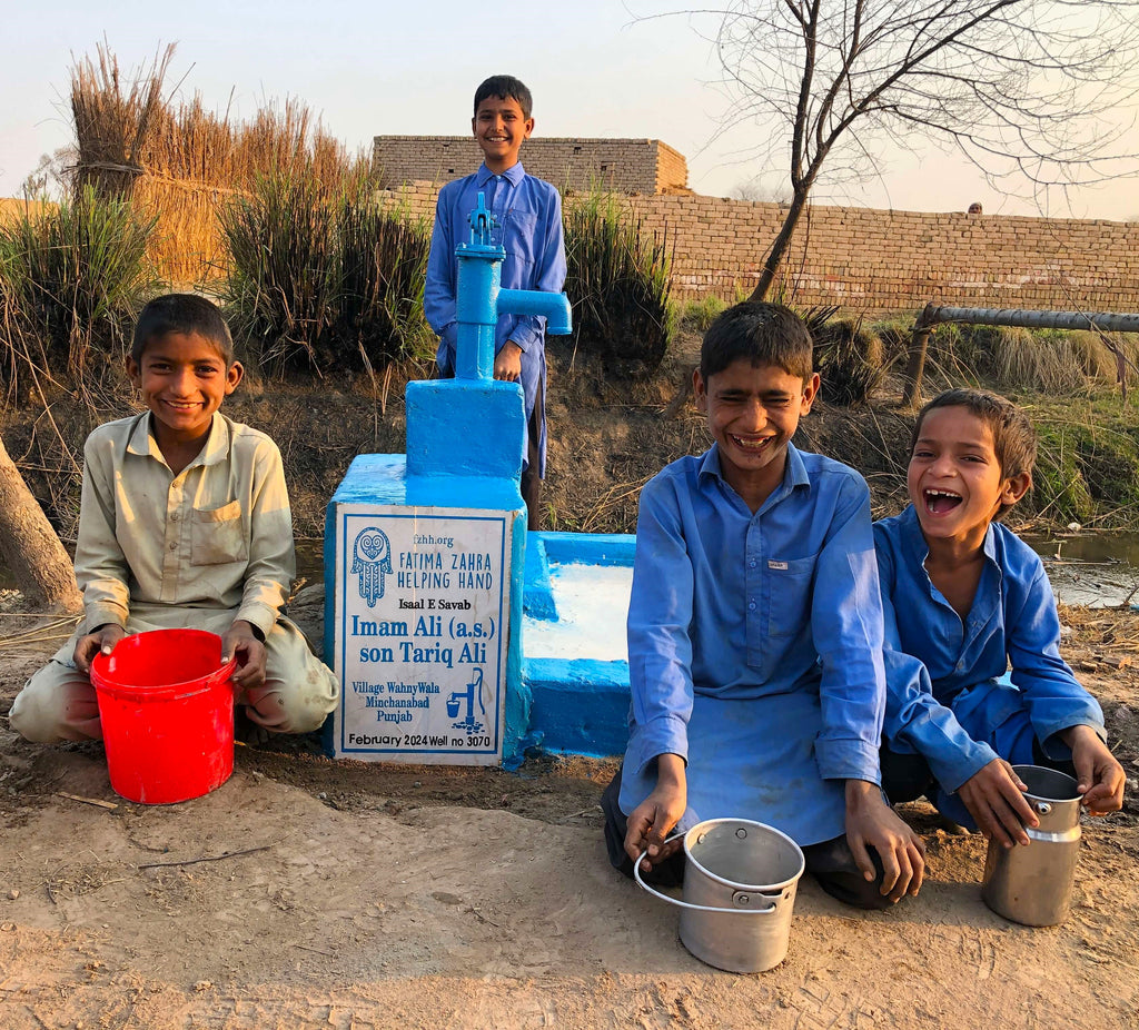 Punjab, Pakistan – Imam Ali (a.s.) son Tariq Ali – FZHH Water Well# 3070