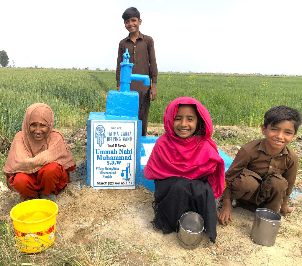 Punjab, Pakistan – Ummah Nabi Muhammad s.a.w – FZHH Water Well# 3161