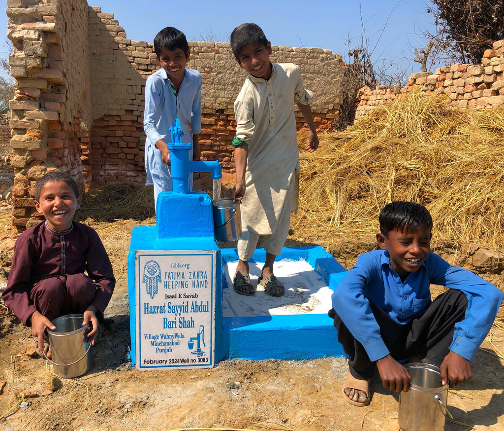 Punjab, Pakistan – Hazrat Sayyid Abdul Bari Shah – FZHH Water Well# 3083