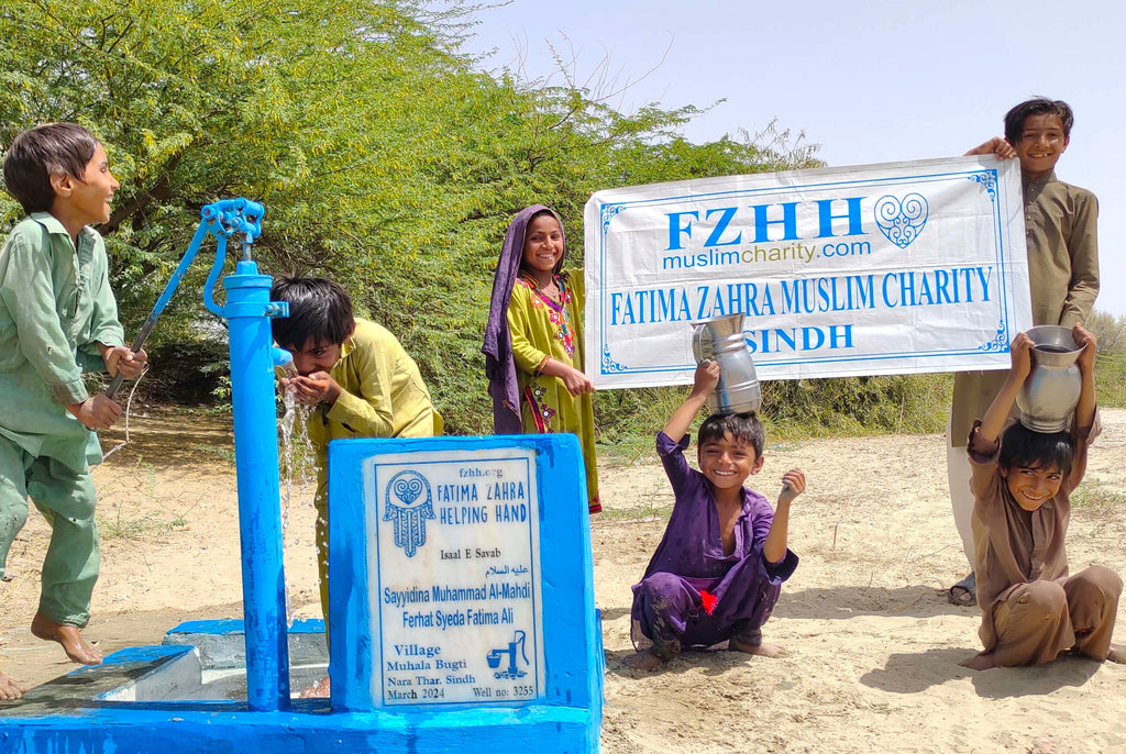 Sindh, Pakistan – Sayyidina Muhammad Al-Mahdi AS Ferhat Syeda Fatima Ali – FZHH Water Well# 3255