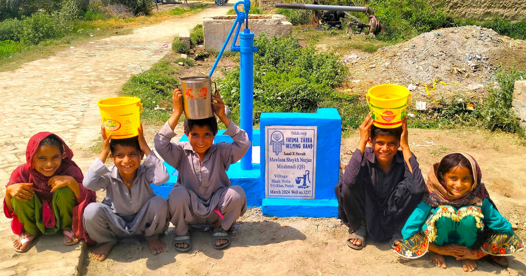 Punjab, Pakistan – Mawlana Shaykh Nurjan Mirahmadi (QS) – FZHH Water Well# 3237