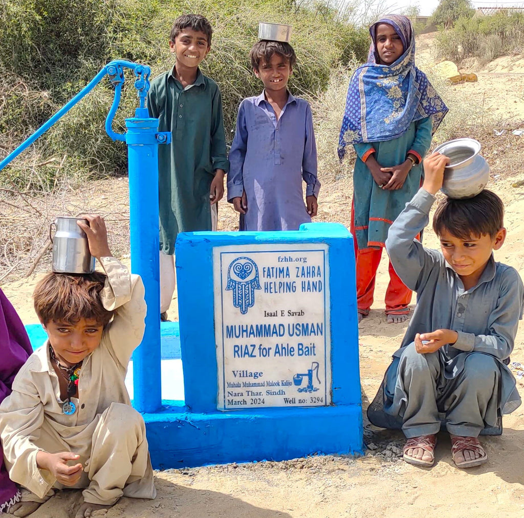 Sindh, Pakistan – MUHAMMAD USMAN RIAZ for Ahle Bait – FZHH Water Well# 3294