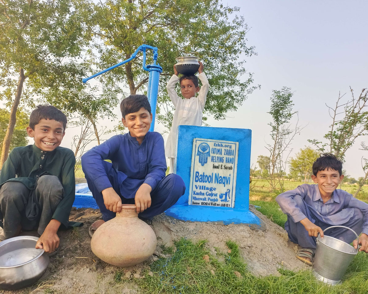 Punjab, Pakistan – Batool Naqvi – FZHH Water Well# 3821– Fatima Zahra ...