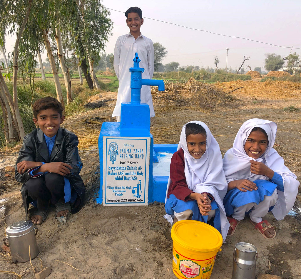 Punjab, Pakistan – Sayyidatina Zainab Al-Kubra (AS) and the Holy Ahlul Bayt (AS) – FZHH Water Well# 4686