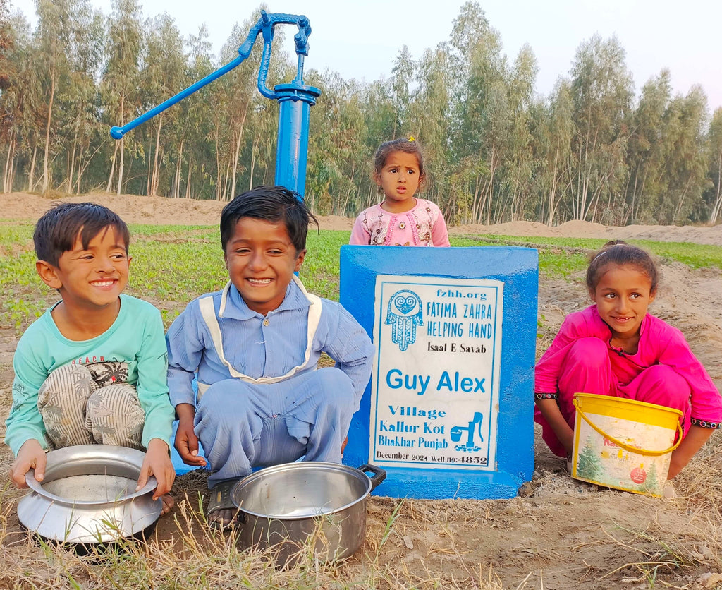 Punjab, Pakistan – Guy Alex – FZHH Water Well# 4852 Order no. 36649