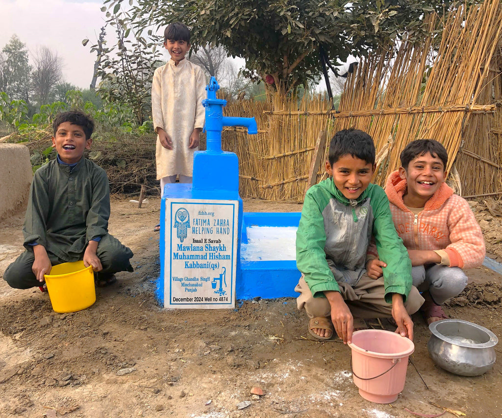 Punjab, Pakistan – Mawlana Shaykh Muhammad Hisham Kabbani (as) – FZHH Water Well# 4874  Order no 36732