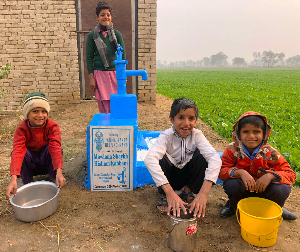 Punjab, Pakistan – Mawlana Shaykh Hisham Kabbani – FZHH Water Well# 4880  Order no 36752