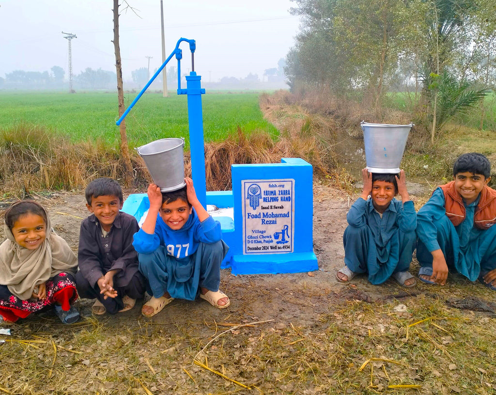 Punjab, Pakistan – Foad Mohamad Rezai – FZHH Water Well# 4934 Order no 37261