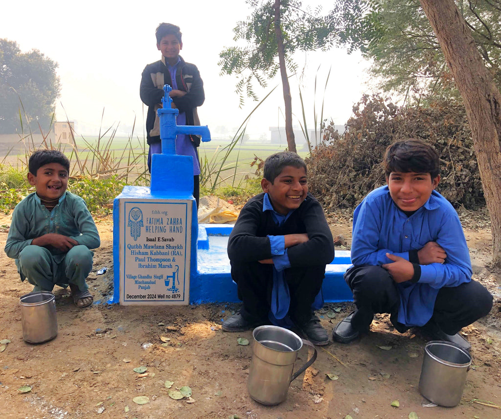 Punjab, Pakistan – Qutbh Mawlana Shaykh Hisham Kabbani (RA), Paul Thompson & Ibrahim Marsh – FZHH Water Well# 4879 Order no 36745