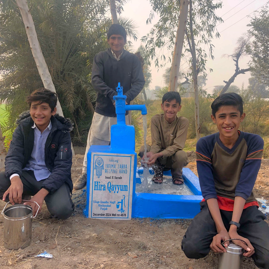 Punjab, Pakistan – Hira Qayyum – FZHH Water Well# 4878  Order no 51949