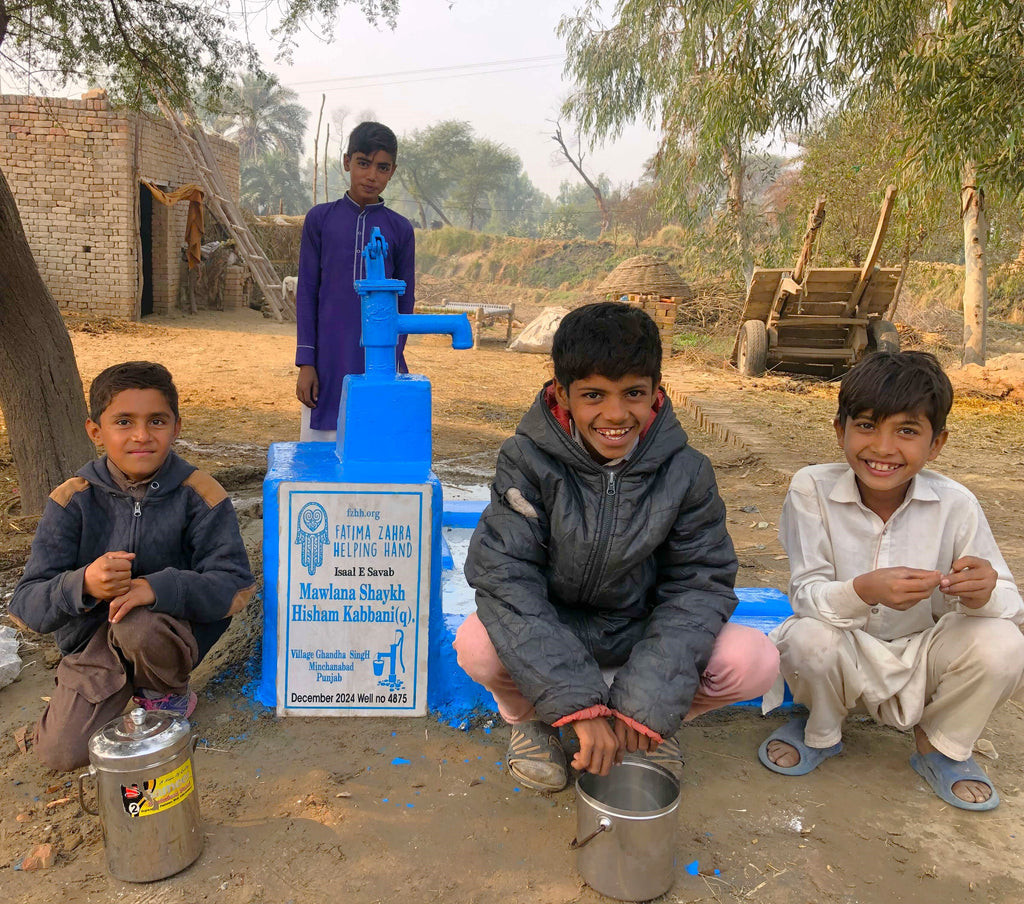 Punjab, Pakistan – Mawlana Shaykh Hisham Kabbani (Q) – FZHH Water Well# 4875  Order no 36734