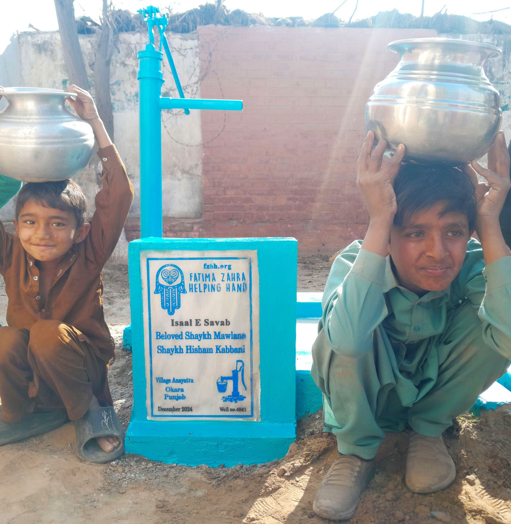 Punjab, Pakistan – Beloved Shaykh Mawlana Shaykh Hisham Kabbani – US Order no. 51709 - Well no 4841