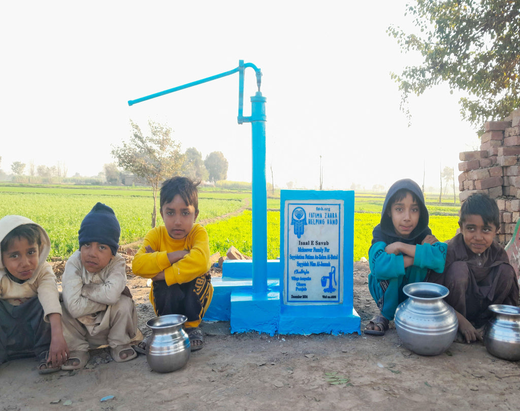 Punjab, Pakistan – Sayyadatina Fatima Az۔Zahra Al betul Sayyidah Nissa al Jannah – US Order no. 51694 - Well no 4836