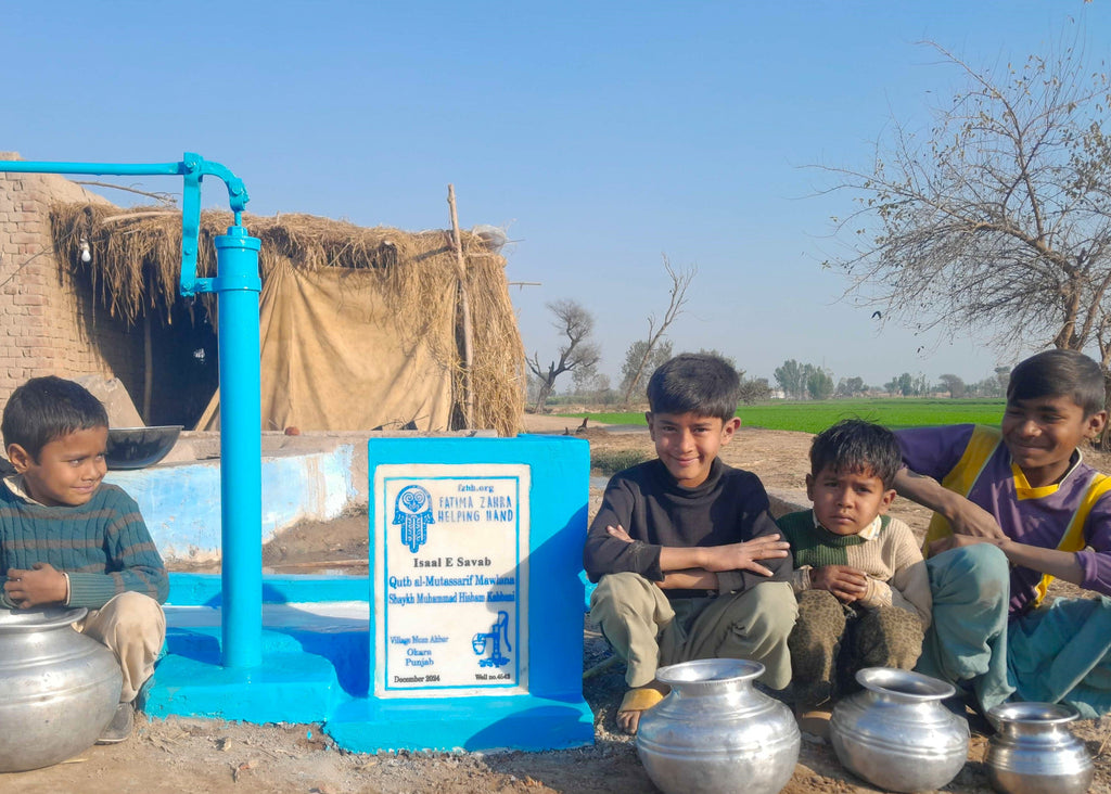 Punjab, Pakistan – Qutab al۔Mutassarif Mawlana Shaykh Muhammad Hisham Kabbani – US Order no. 51716 - Well no 4842