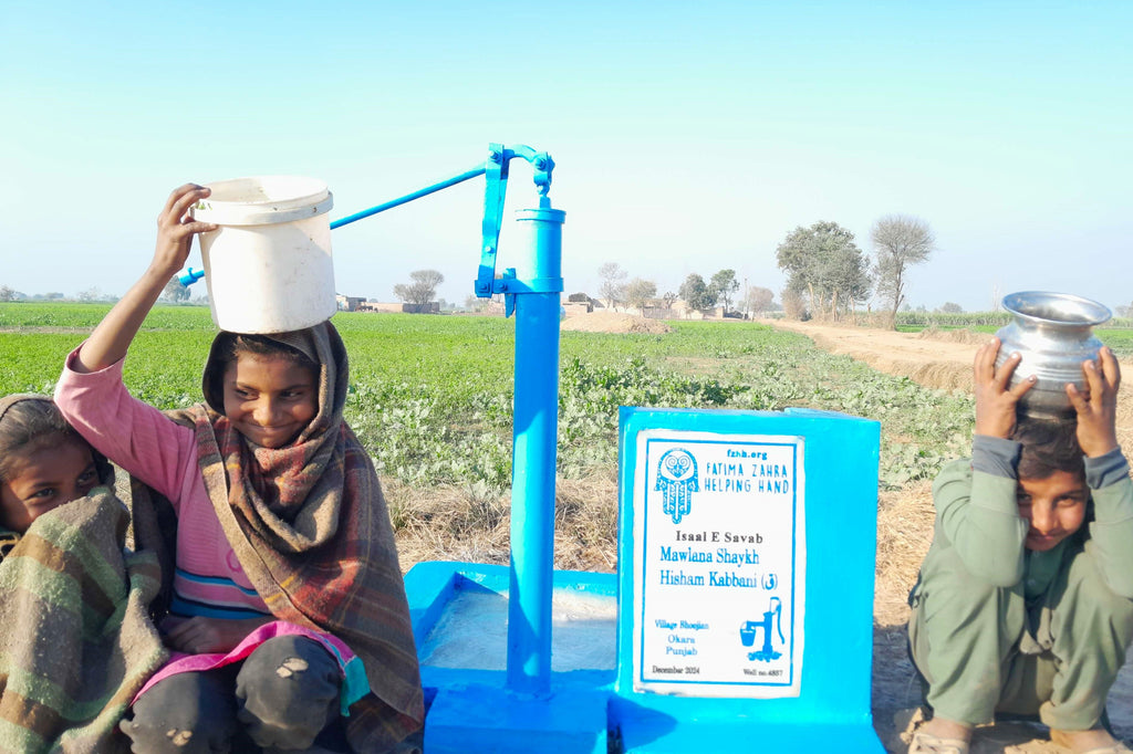 Punjab, Pakistan – Mawlana Shaykh Hisham Kabbani – US Order no. 51704 - Well no 4837