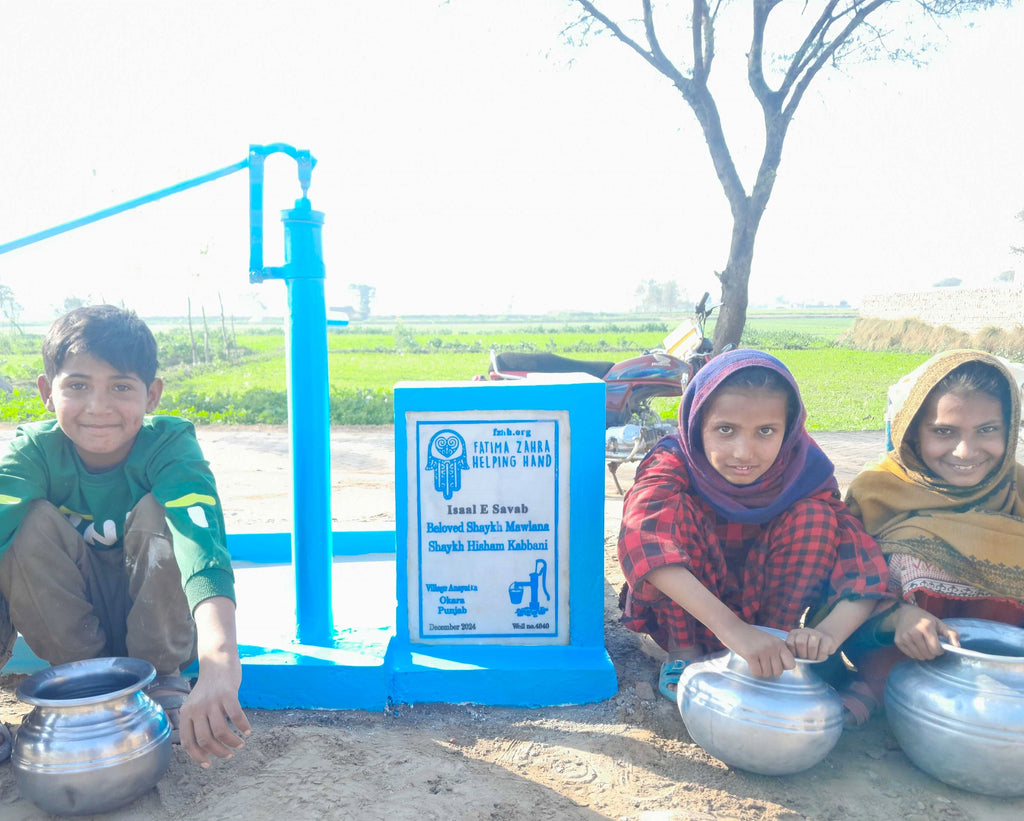 Punjab, Pakistan – Beloved Shaykh Mawlana Shaykh Hisham Kabbani – US Order no. 51709 - Well no 4840