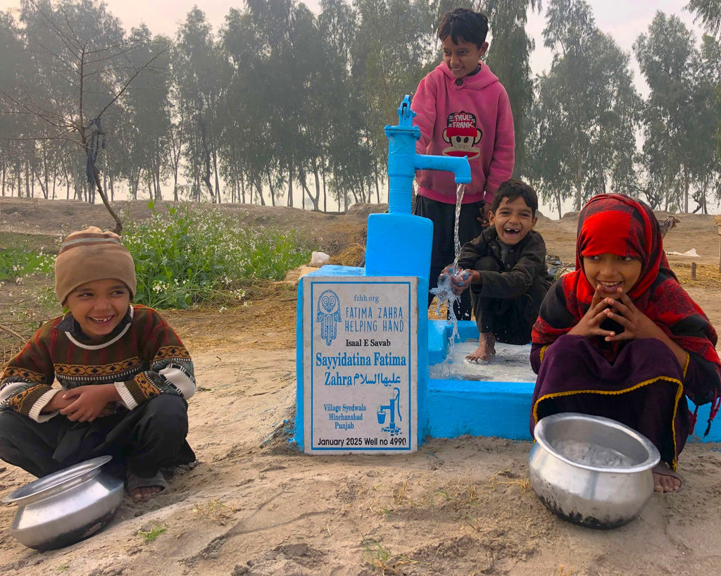 Punjab, Pakistan – Sayyidatina Fatima Zahra علیہاالسلام – US Order no. 53114 - Well no. 4990