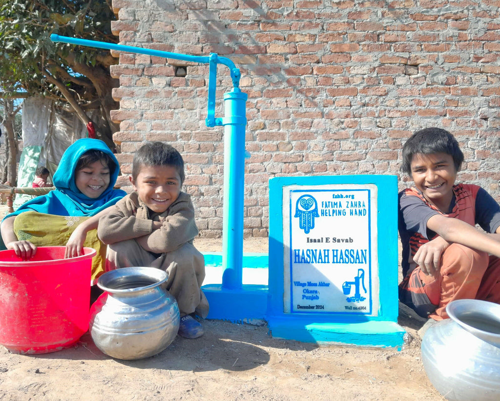 Punjab, Pakistan – Hasnah Hassan – US Order no. 52983 - Well no. 4954