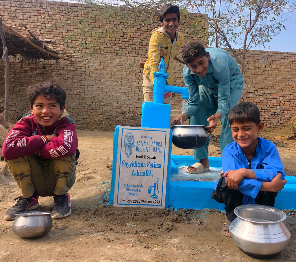 Punjab, Pakistan – Sayyidatina Fatimah Zahra alayhi’salaam – CA Order no. 37507 - Well no. 4993