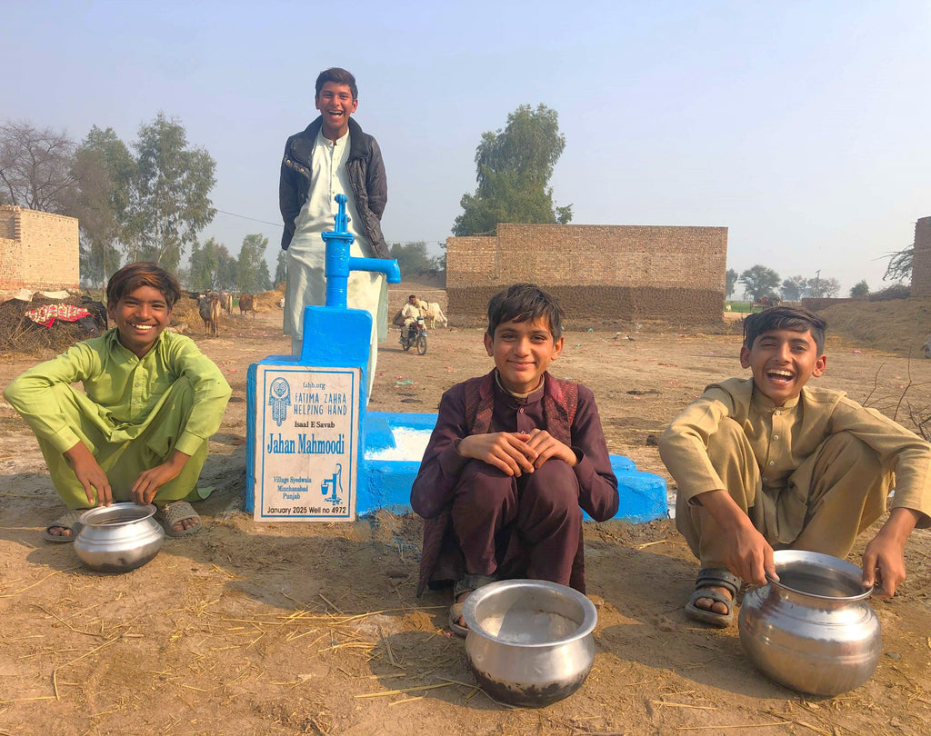 Punjab, Pakistan – Jahan Mahmoodi – CA Order no. 37454 - Well no. 4972