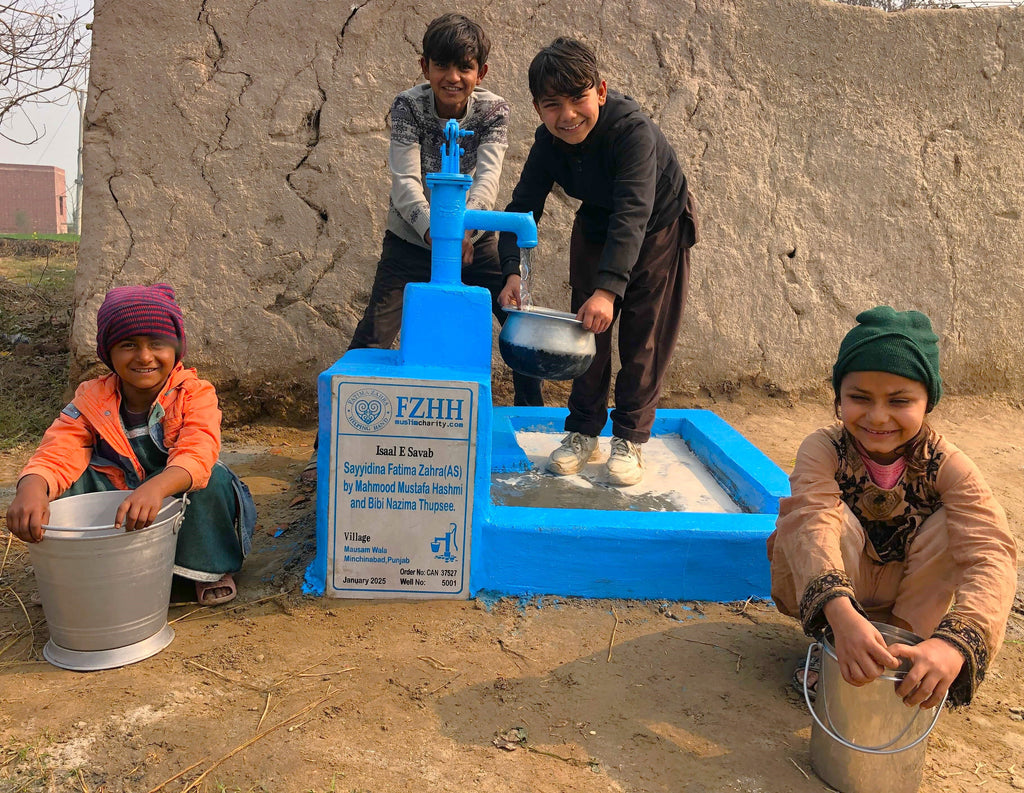 Punjab, Pakistan – Sayyidina Fatima Zahra (AS) by Mahmood Mustafa Hashmi and Bibi Nazima Thupsee – CA Order no. 37527 - Well no. 5001