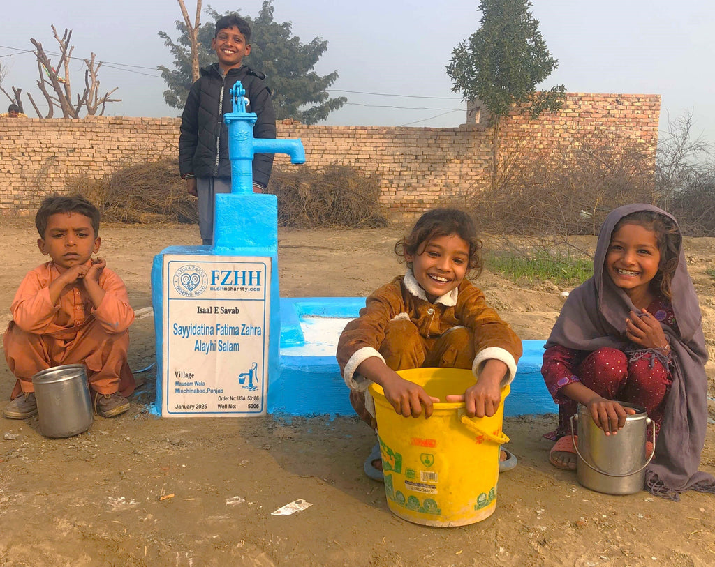 Punjab, Pakistan – Sayyidatina Fatima Zahra Alayhi Salam – US Order no. 53186 - Well no. 5006