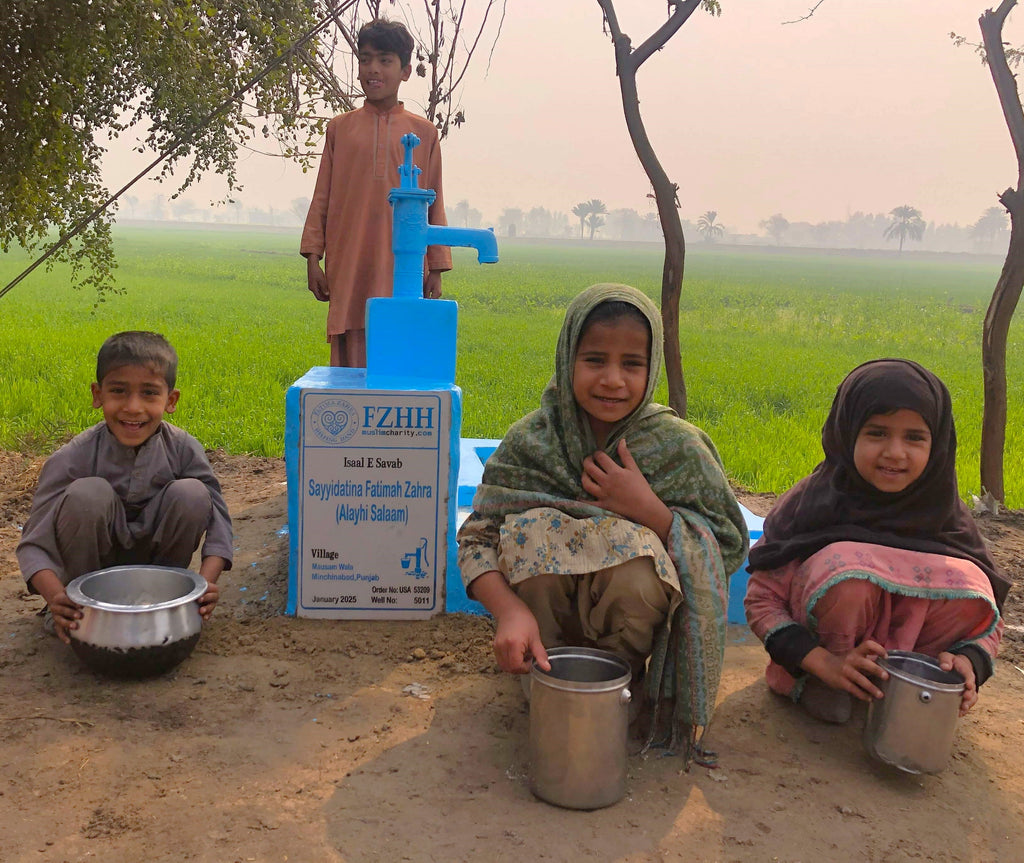 Punjab, Pakistan – Sayyidatina Fatimah Zahra (Alayhi Salaam) – US Order no. 53209 - Well no. 5011