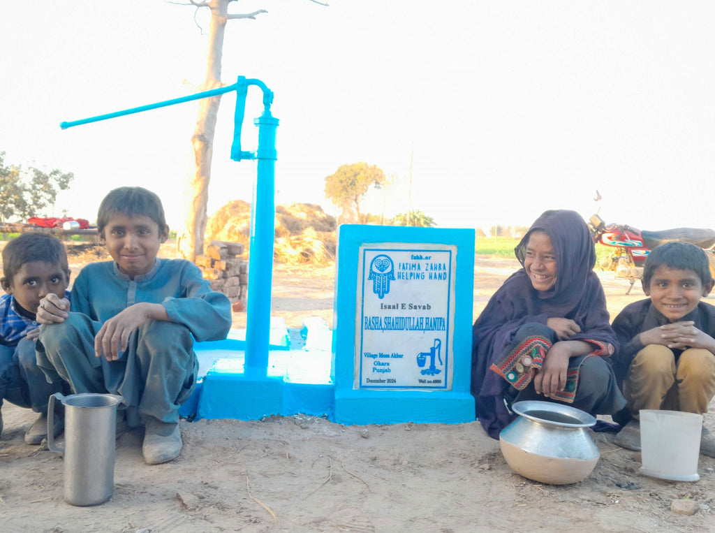 Punjab, Pakistan – Basha, Shahidullah, Hanifa – US Order no. 53001 - Well no. 4960