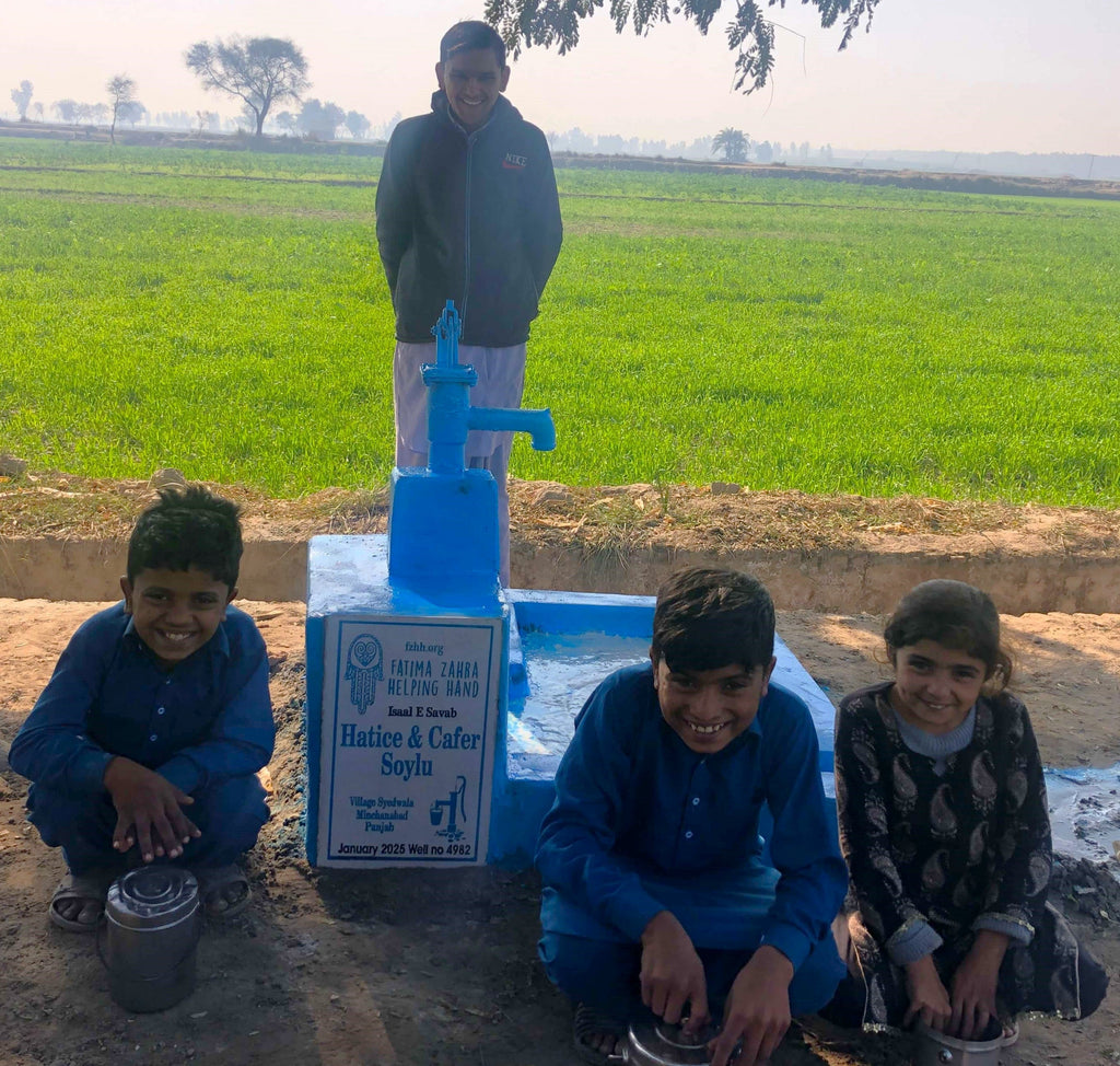 Punjab, Pakistan – Hatice & Cafer Soylu – US Order no. 53089 - Well no. 4982