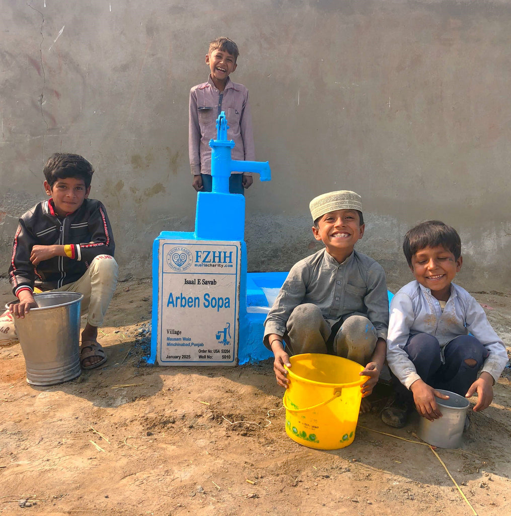 Punjab, Pakistan – Arben Sopa – US Order no. 53204 - Well no. 5010