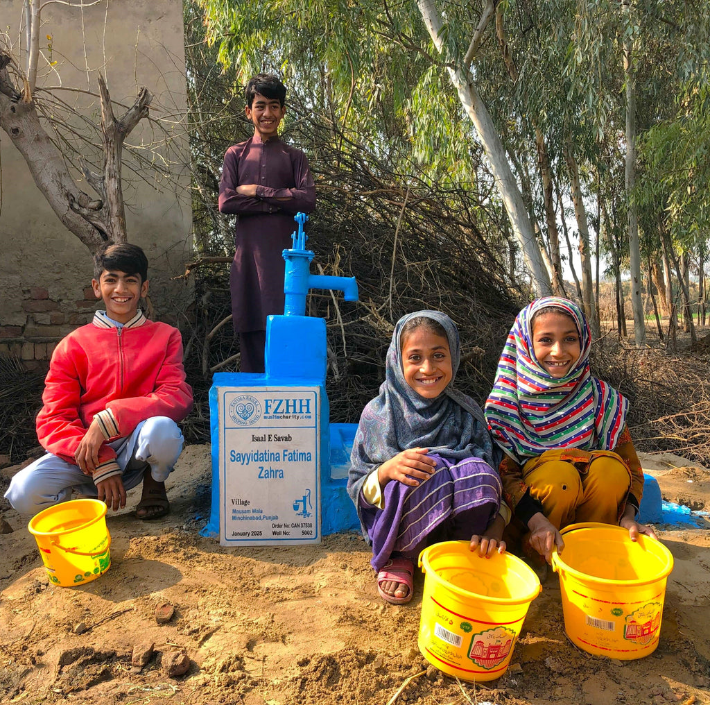 Punjab, Pakistan – Sayyidatina Fatima Zahra – CA Order no. 37530 - Well no. 5002