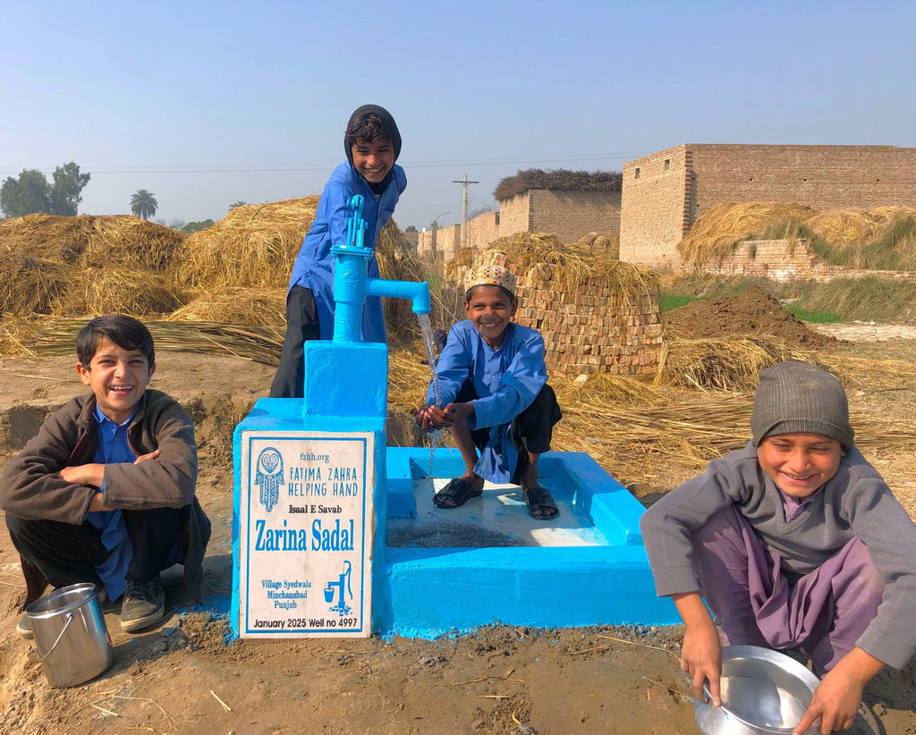 Punjab, Pakistan – Zarina Sadal – US Order no. 53128 - Well no. 4997