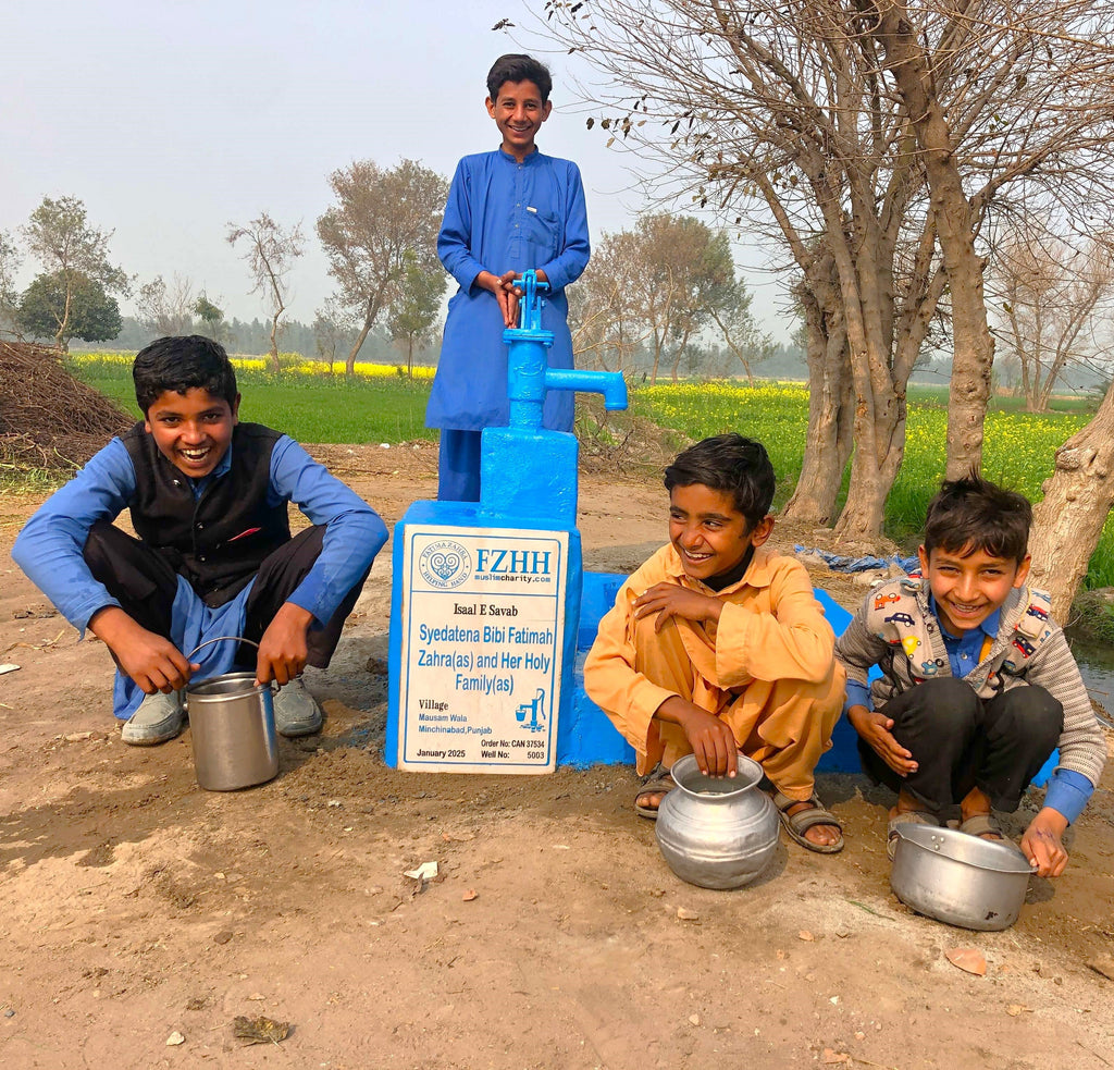 Punjab, Pakistan – Syedatena Bibi Fatimah Zahra (as) and Her Holy Family (as) – CA Order no. 37534 - Well no. 5003