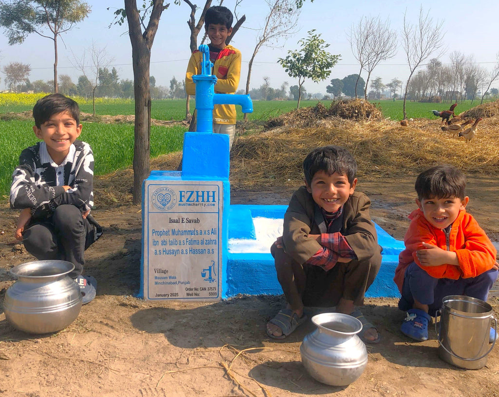 Punjab, Pakistan – Prophet Muhammad s,a,v,s Ali ibn Abi Talib a,s Fatima al Zahra a,s Husayn a,s Hassan a,s – CA Order no. 37579 - Well no. 5009