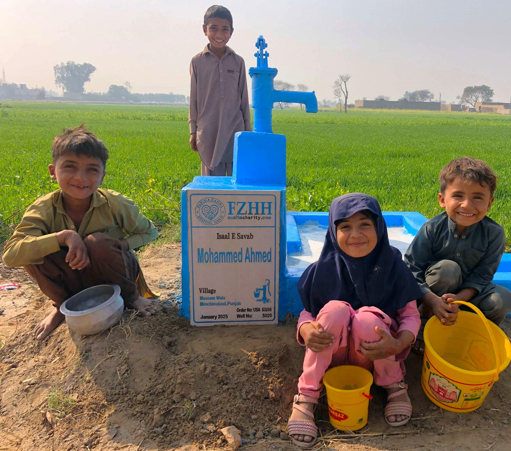 Punjab, Pakistan – Mohammed Ahmed – US Order no. 53298 - Well no. 5020