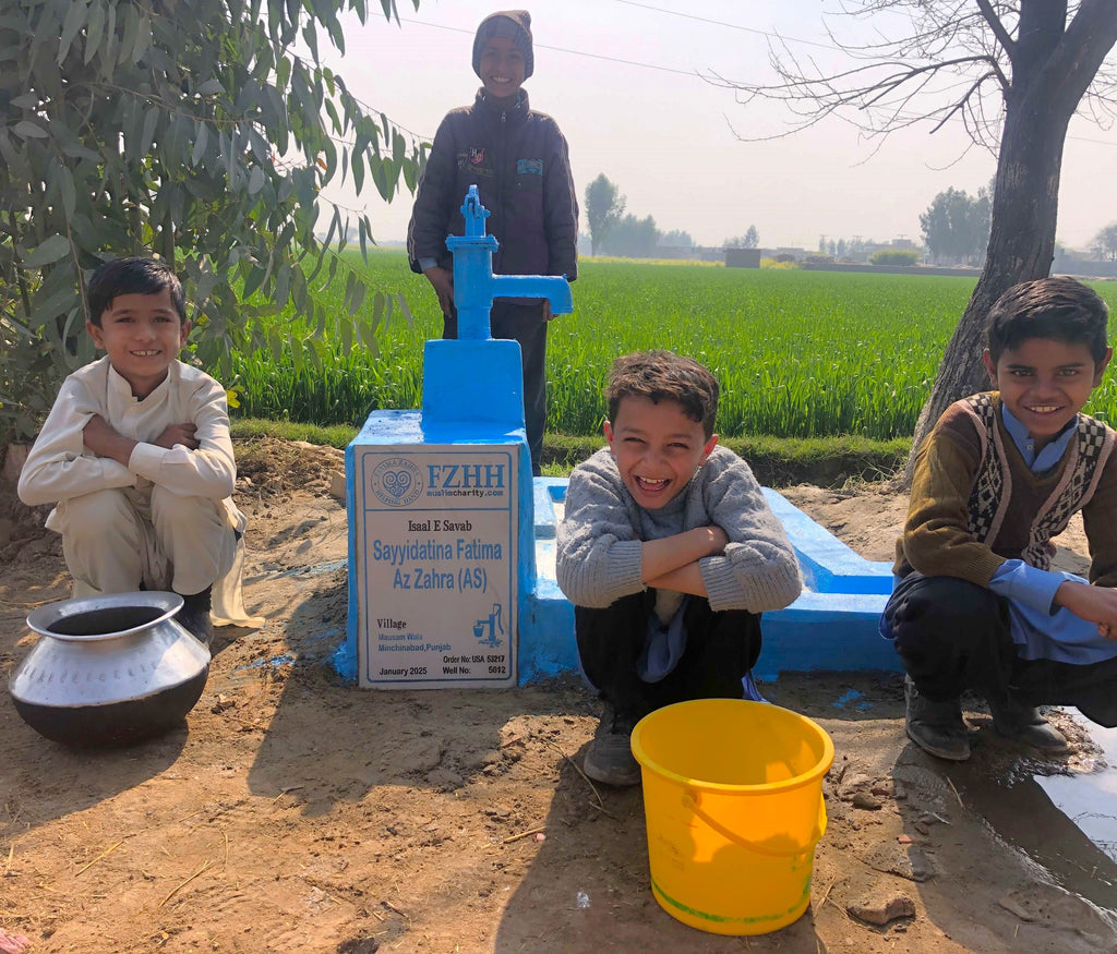 Punjab, Pakistan – Sayyidatina Fatima Az Zahra (AS) – US Order no. 53217 - Well no. 5012