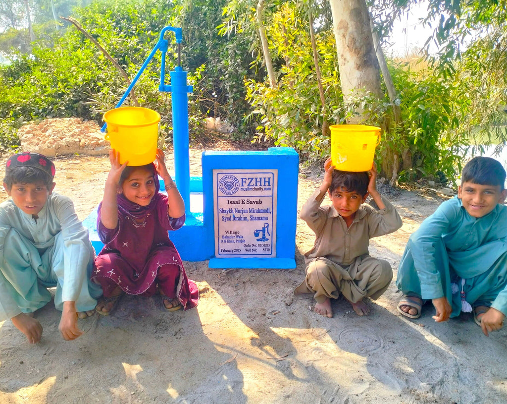 Punjab, Pakistan – Shaykh Nurjan Mirahmadi, Syed Ibrahim, Shamama – US Order no. 56263 - Well no. 5230