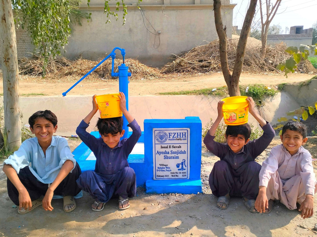 Punjab, Pakistan – Ayesha Saajidah Shuraim – US Order no. 56685 - Well no. 5259