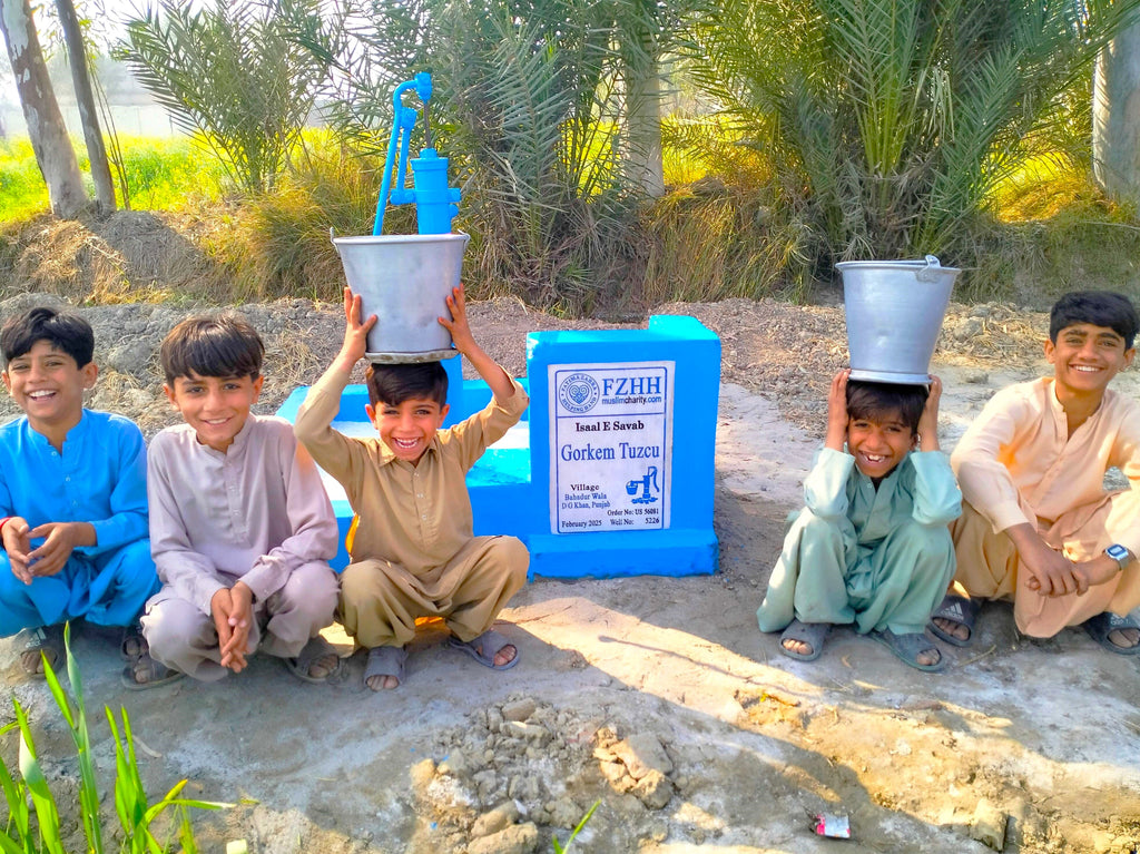 Punjab, Pakistan – Gorkem Tuzcu – US Order no. 56081 - Well no. 5226