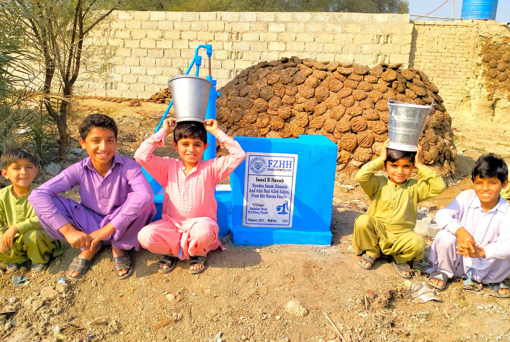 Punjab, Pakistan – Syedna Imam Hussain and Ahle Bait Alleh Salam From Mir Hassan Family – PK Order no. XXXXX - Well no. 5222