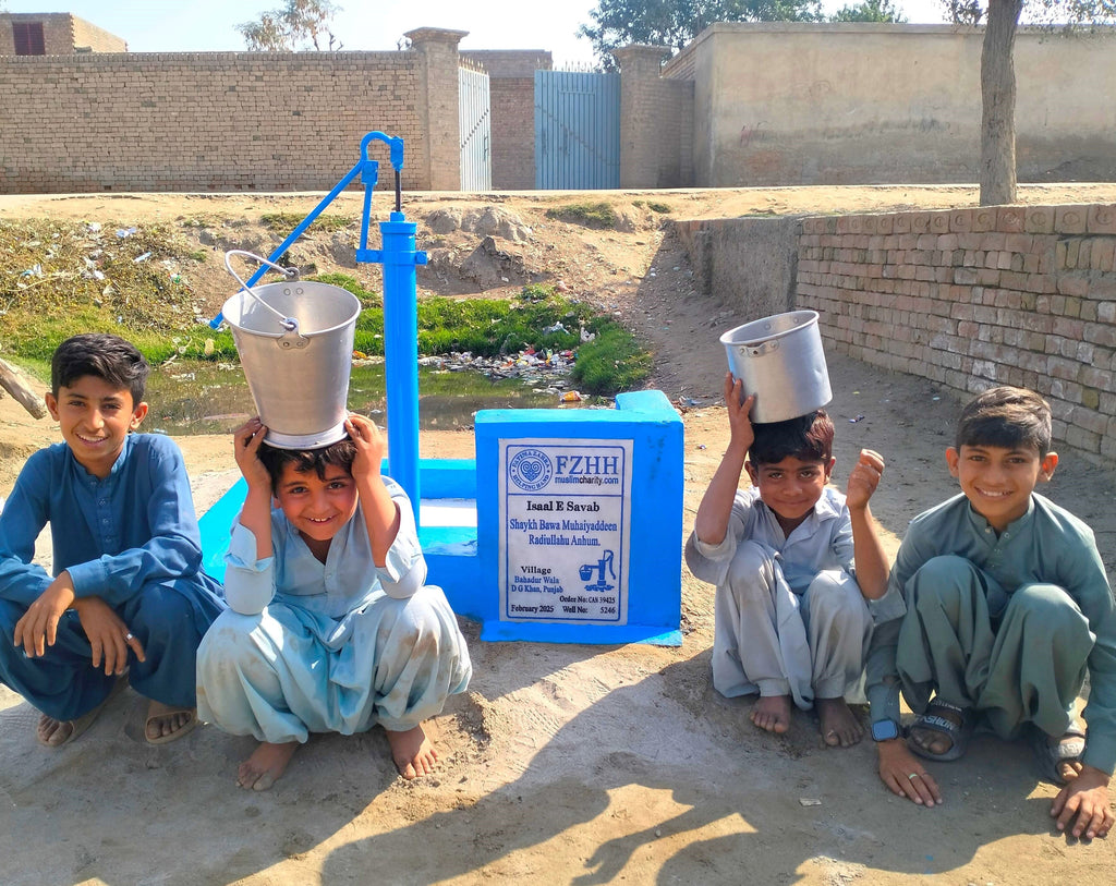 Punjab, Pakistan – Shaykh Bawa Muhaiyaddeen Radiullahu Anhum – CA Order no. 39425 - Well no. 5246