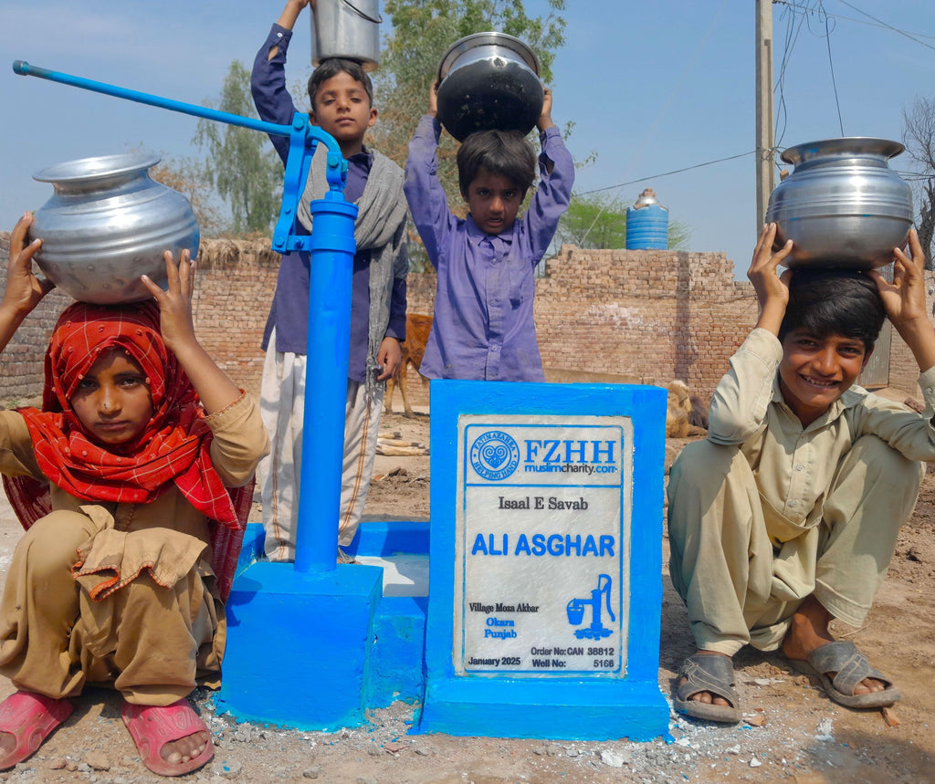 Punjab, Pakistan – ALI ASGHAR – CA Order no. 38812 - Well no. 5166