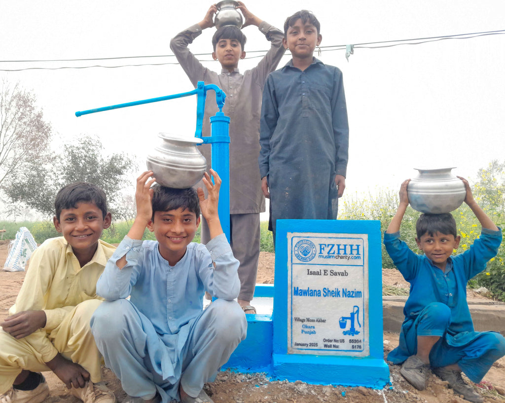 Punjab, Pakistan – Mawlana Sheik Nazim – US Order no. 55304 - Well no. 5176